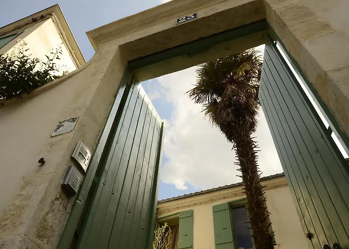 La Maison du Palmier La Rochelle 